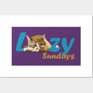 Lazy Cat Sundays Posters and Art